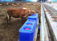 Abbeveratoi automatici per bovini in plastica a flusso continuo per abbeveratoio Rotomoulding