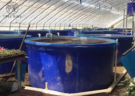 Prodotti di M5000L Rotomolding, blu circolare senza coperchio un serbatoio di acqua di 1300 sistemi integrati di acquacoltura e coltura idroponica di gallone