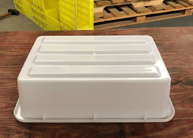 Piccole vasche di plastica leggere del contenitore del totalizzatore del bus per lavare, esame dell'aeroporto